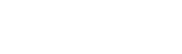 Systempartner IT-Vertriebs GmbH & Co. KG